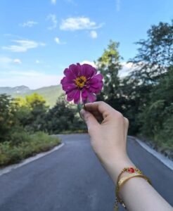 微信图片 20250811173731 96